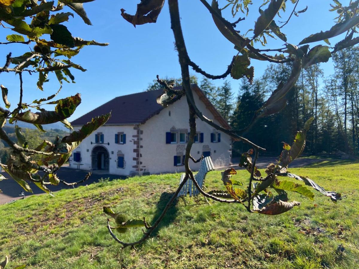 Gite Des Prary Des Mille Etangs Ternuay-Melay-et-Saint-Hilaire Exteriör bild