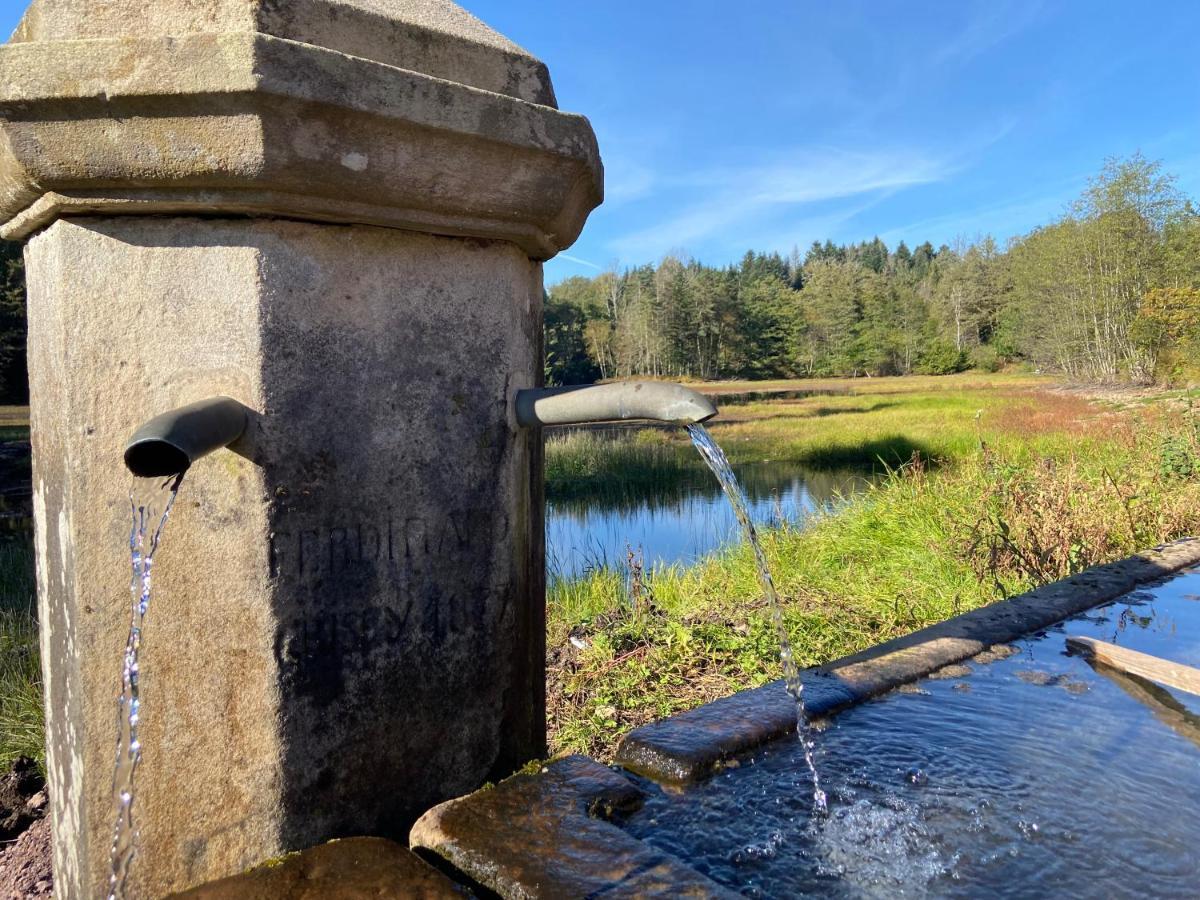 Gite Des Prary Des Mille Etangs Ternuay-Melay-et-Saint-Hilaire Exteriör bild