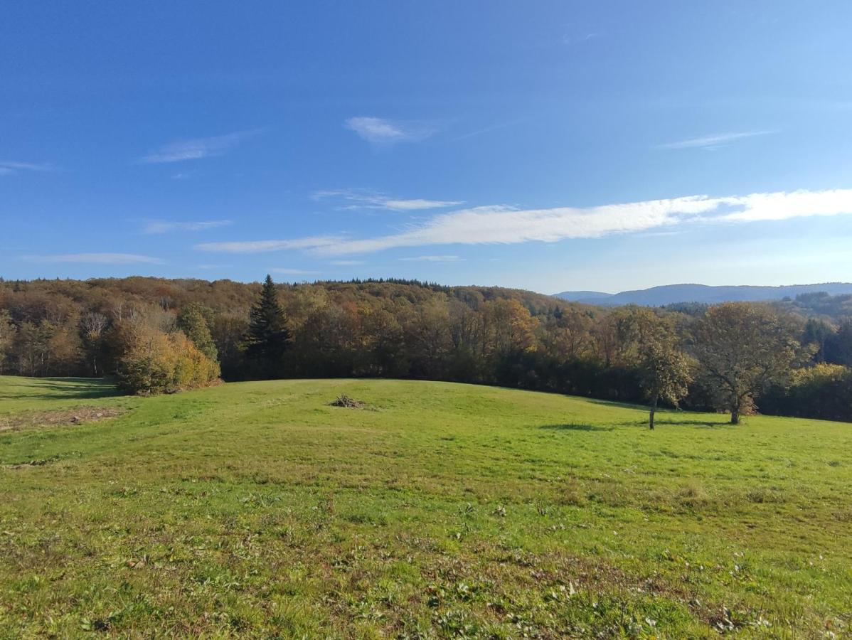 Gite Des Prary Des Mille Etangs Ternuay-Melay-et-Saint-Hilaire Exteriör bild